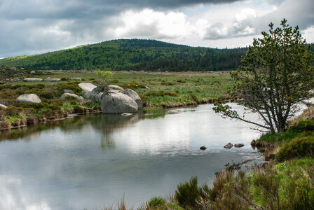 LES CEVENNES 4ème jour le 24 mai 2024 De Felgérolles au pont du Tarn, DSC_0606
