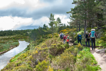 LES CEVENNES 4ème jour le 24 mai 2024 De Felgérolles au pont du Tarn, DSC_0613