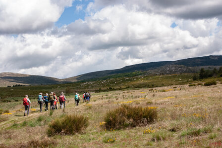 LES CEVENNES 4ème jour le 24 mai 2024 De Felgérolles au pont du Tarn, DSC_0619