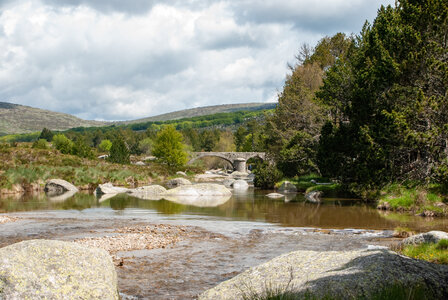 LES CEVENNES 4ème jour le 24 mai 2024 De Felgérolles au pont du Tarn, DSC_0631