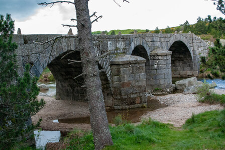 LES CEVENNES 4ème jour le 24 mai 2024 De Felgérolles au pont du Tarn, DSC_0633