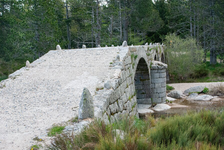 LES CEVENNES 4ème jour le 24 mai 2024 De Felgérolles au pont du Tarn, DSC_0644