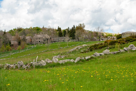 LES CEVENNES 4ème jour le 24 mai 2024 De Felgérolles au pont du Tarn, DSC_0658