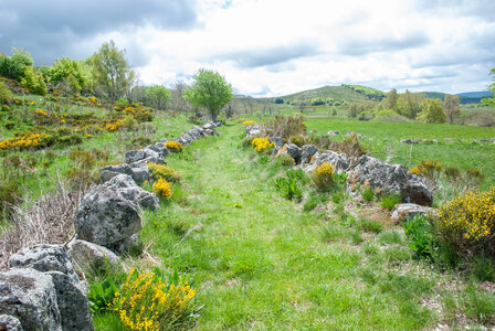 LES CEVENNES 4ème jour le 24 mai 2024 De Felgérolles au pont du Tarn, DSC_0678