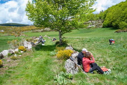 LES CEVENNES 4ème jour le 24 mai 2024 De Felgérolles au pont du Tarn, DSC_0679