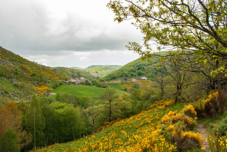 LES CEVENNES 4ème jour le 24 mai 2024 De Felgérolles au pont du Tarn, DSC_0726