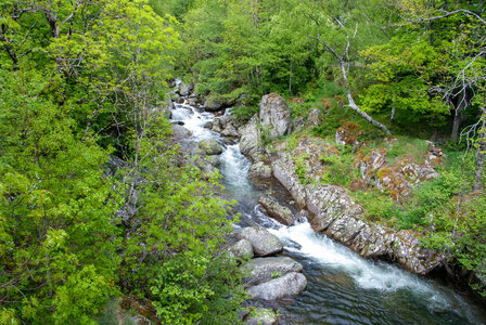 LES CEVENNES 4ème jour le 24 mai 2024 De Felgérolles au pont du Tarn, DSC_0729