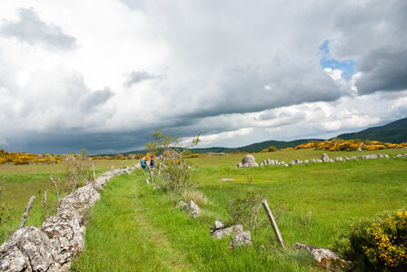 LES CEVENNES 4ème jour le 24 mai 2024 De Felgérolles au pont du Tarn, DSC_0760