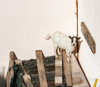 LES CEVENNES 5ème jour le 25 mai 2024 Le lac de Villefort et La Garde-Guérin, DSC_0769