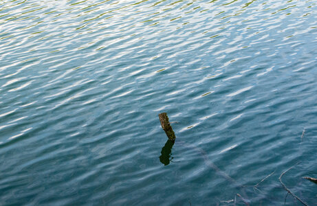 LES CEVENNES 5ème jour le 25 mai 2024 Le lac de Villefort et La Garde-Guérin, DSC_0778