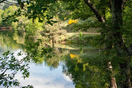LES CEVENNES 5ème jour le 25 mai 2024 Le lac de Villefort et La Garde-Guérin, DSC_0780