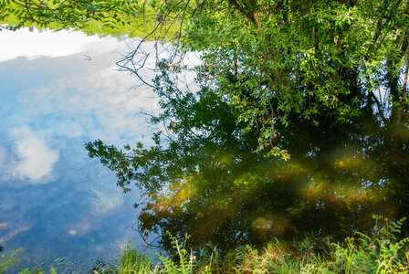 LES CEVENNES 5ème jour le 25 mai 2024 Le lac de Villefort et La Garde-Guérin, DSC_0794
