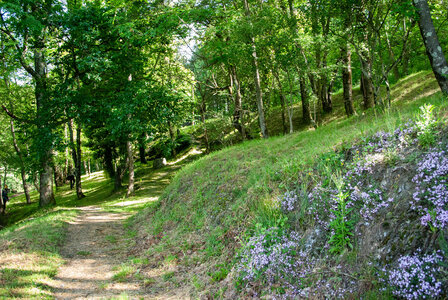 LES CEVENNES 5ème jour le 25 mai 2024 Le lac de Villefort et La Garde-Guérin, DSC_0796