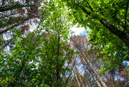 LES CEVENNES 5ème jour le 25 mai 2024 Le lac de Villefort et La Garde-Guérin, DSC_0872