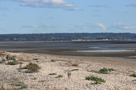 20220917 De Quinéville à Saint-Vaast-La-Hougue, IMG_4277 L’anse du Cul-de-Loup depuis le Hameau Simon