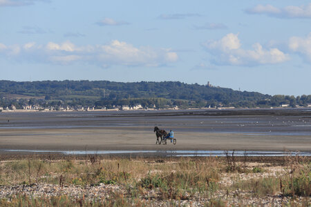 20220917 De Quinéville à Saint-Vaast-La-Hougue, IMG_4293 Vue depuis la Maison Rouge