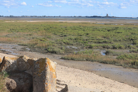 20220917 De Quinéville à Saint-Vaast-La-Hougue, IMG_4315 Entre Les Bergeries et le Polygone