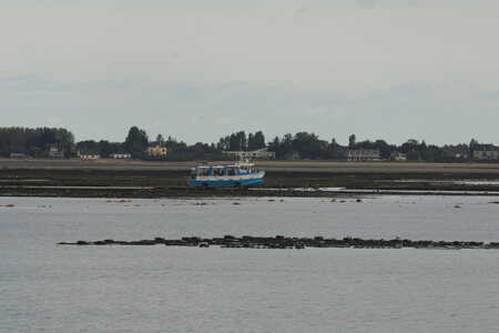 20220918 Saint-Vaast-La-Hougue et Tatihou, IMG_4403 Le Tatihou II en direction de Tatihou à marée basse