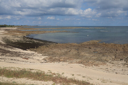 20220919 De Saint-Vaast-La-Hougue à Gatteville-le-Phare, IMG_4506 Les Angues