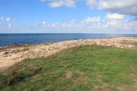 20220919 De Saint-Vaast-La-Hougue à Gatteville-le-Phare, IMG_4581 Le Coin du Rôle
