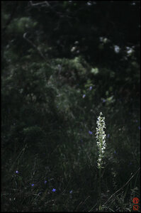 blogpix2, 3d4ec78b674704c8