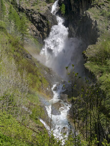 06-06-24_vallon de Chichin, P1095622
