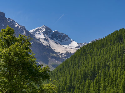 06-06-24_vallon de Chichin, P1095623
