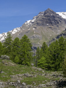 06-06-24_vallon de Chichin, P1095624