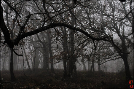 blogpix2, 5910acb9d19449c0