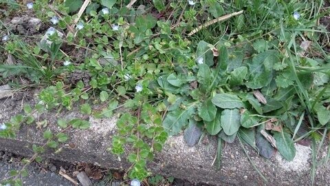 blogpix2, 20240315_144339