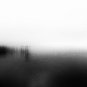 blogpix2, grislac