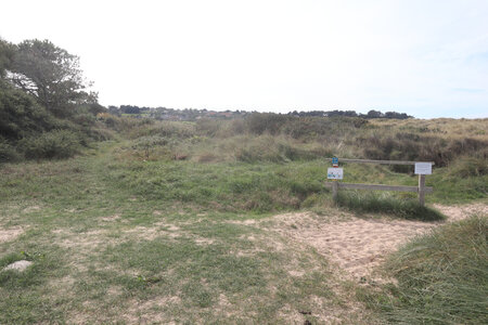 20220920 De Gatteville-le-Phare à Carneville, IMG_4628 La dune de Fréval