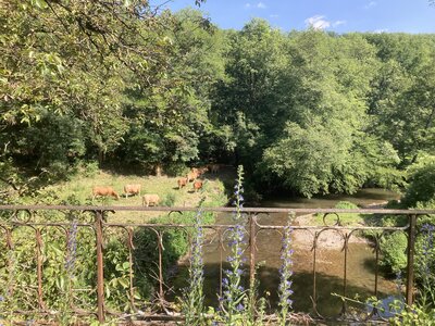 Cordes, IMG_0910