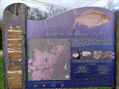 Charte du mobilier, IMG20240318163206