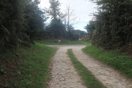 20220921 De Carneville à Cherbourg, IMG_4678 Retour au chemin du Grand-Val