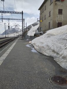 bromprando, IMG_20240520_132454