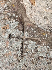 Items divers, Croix pattée