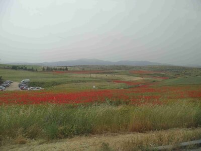 Avila 2024, 7-avila-vendredi047