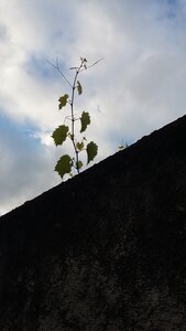 blogpix2, 20240614_071539