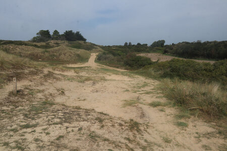 2023_09_08 Des Pieux à Barneville-Carteret, IMG_5308 Les dunes d’Hattainville