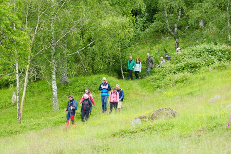 Treh 2024 Samedi, P1010298