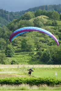 Treh 2024 Dimanche, P1010471