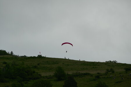 Treh 2024 Dimanche, P1010395