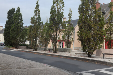 2023_09_11 De Saint-Germain-sur-Ay à Pirou-Pont, IMG_5443 Lessay
