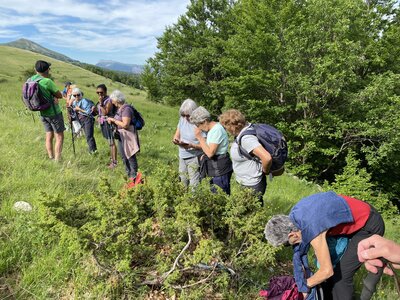 Tour de la Greysinière, IMG_1047