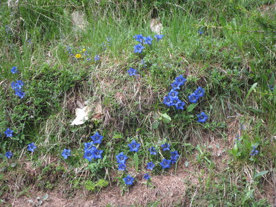 Tour de la Greysinière, IMG_4771