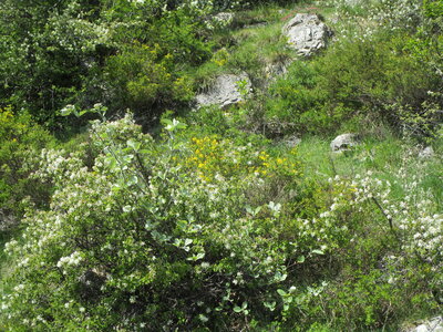Tour de la Greysinière, IMG_4774