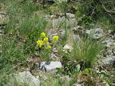 Tour de la Greysinière, IMG_4780