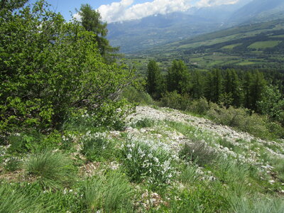 Tour de la Greysinière, IMG_4787