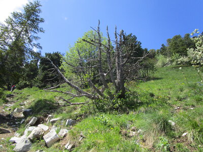 Tour de la Greysinière, IMG_4788